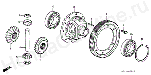 DIFFERENTIAL GEAR M-8 DIFFERENTIAL GEAR
