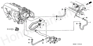 WATER HOSE (SOHC VTEC) (AT) E-15-12 WATER HOSE (SOHC VTEC) (AT)