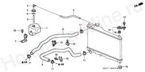 RADIATOR HOSE B-5-10 RADIATOR HOSE