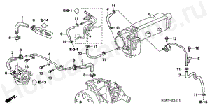 E-15-11 WATER HOSE ('06-)