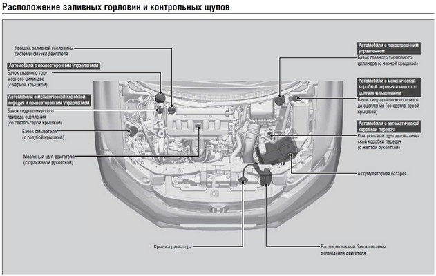 Во время каждого ТО Honda Civic 9 4Д следует проверять уровень масла и других технических жидкостей 