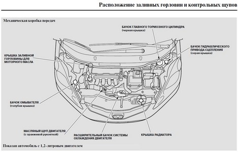 Контроль масла и технических жидкостей Honda Jazz 2009 - обязательная процедура планового ТО автомоб