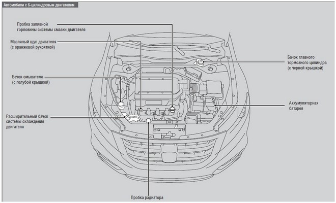 Во время планового ТО Honda Crosstour 2013 происходит контроль технических жидкостей в двигателе авт
